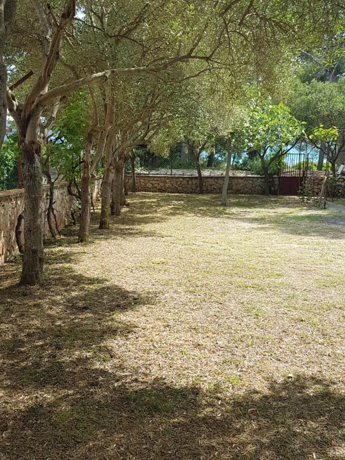 Apartman Lugovic Szybenik Zewnętrze zdjęcie